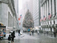 What to Do in NYC When it Snows