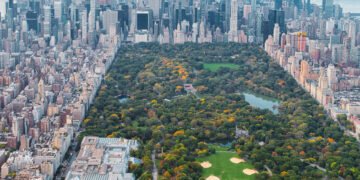 What to Do in Central Park With Kids