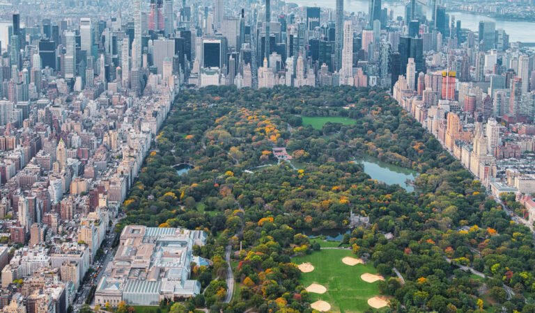 What to Do in Central Park With Kids (A Local Family Guide)