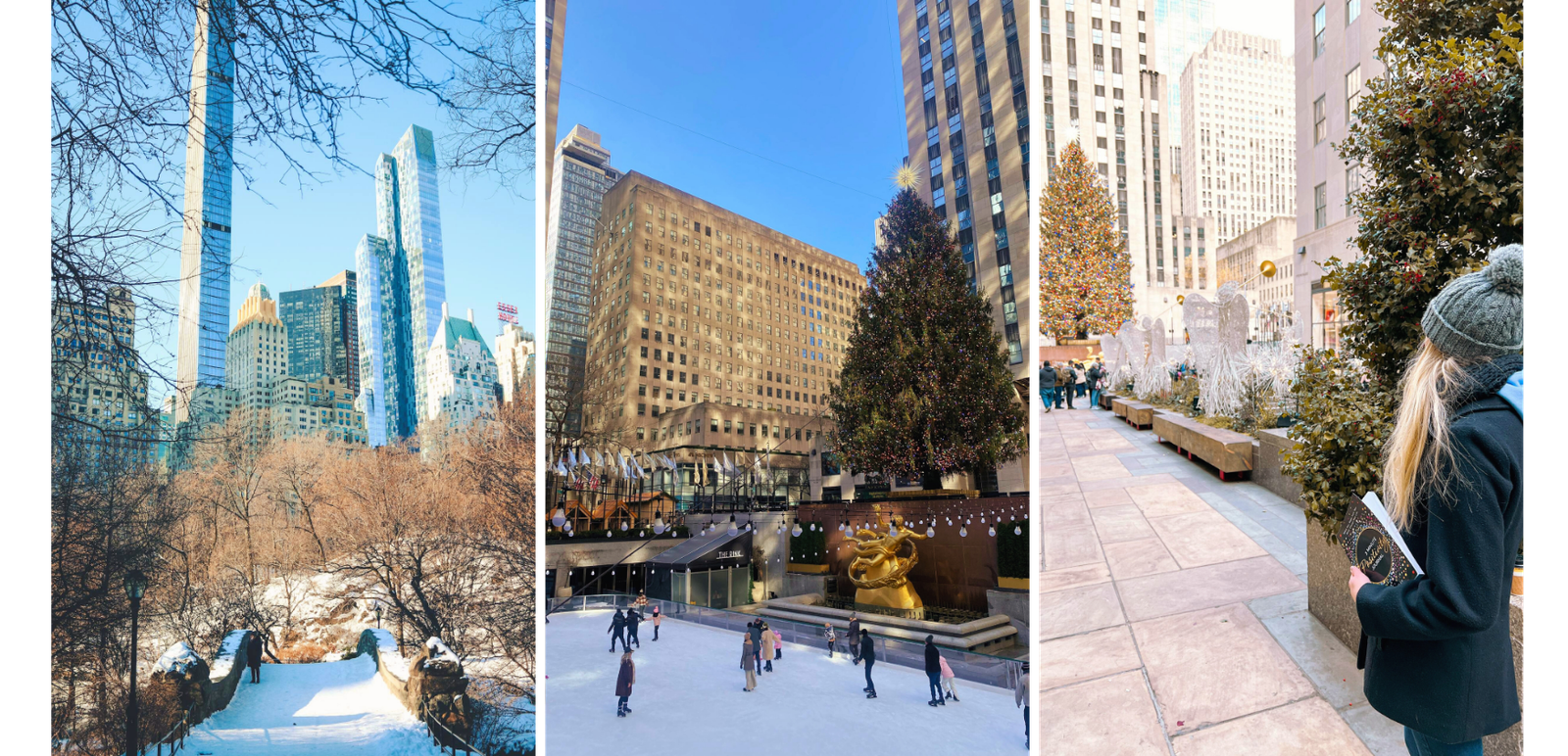 Things to Do in New York City in the Winter