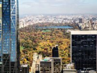 How Big Is Central Park?