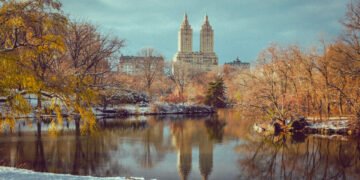 Best Central Park Tours