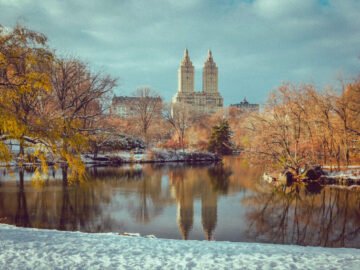 Best Central Park Tours