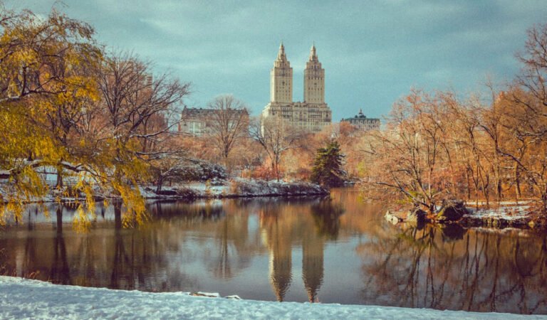 Best Central Park Tours in NYC: Are They Worth It?
