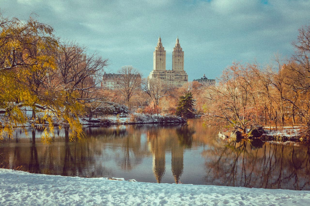 Best Central Park Tours