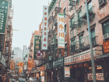 Best Dumplings in Chinatown