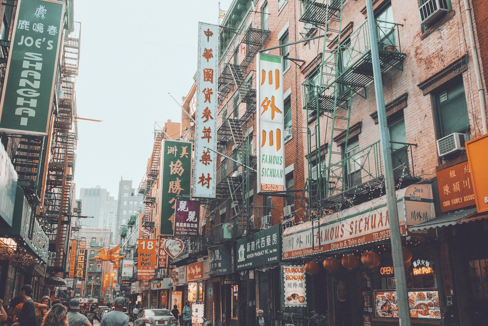Best Dumplings in Chinatown